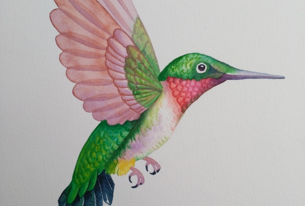 Hummingbird - student project