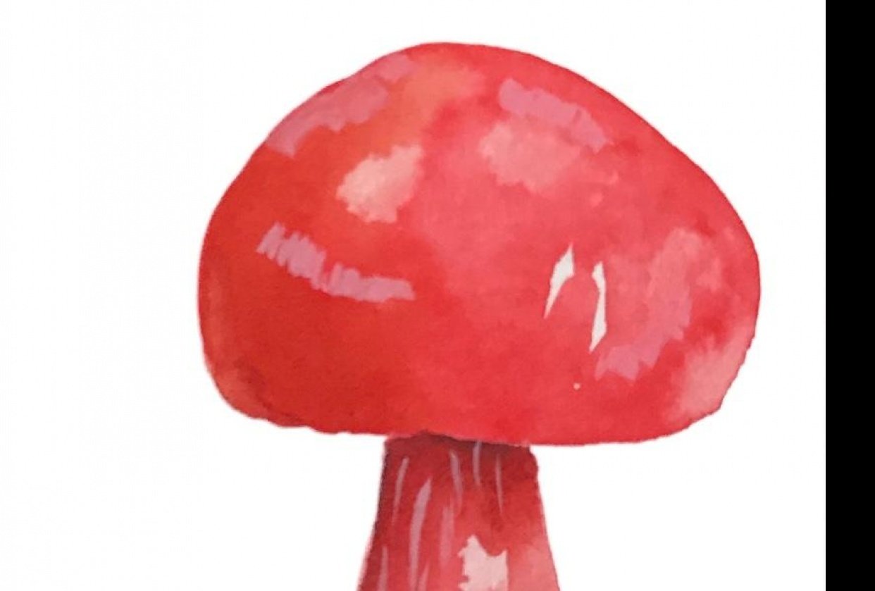 Halfdrop repeat — mushrooms! Skillshare Student Project