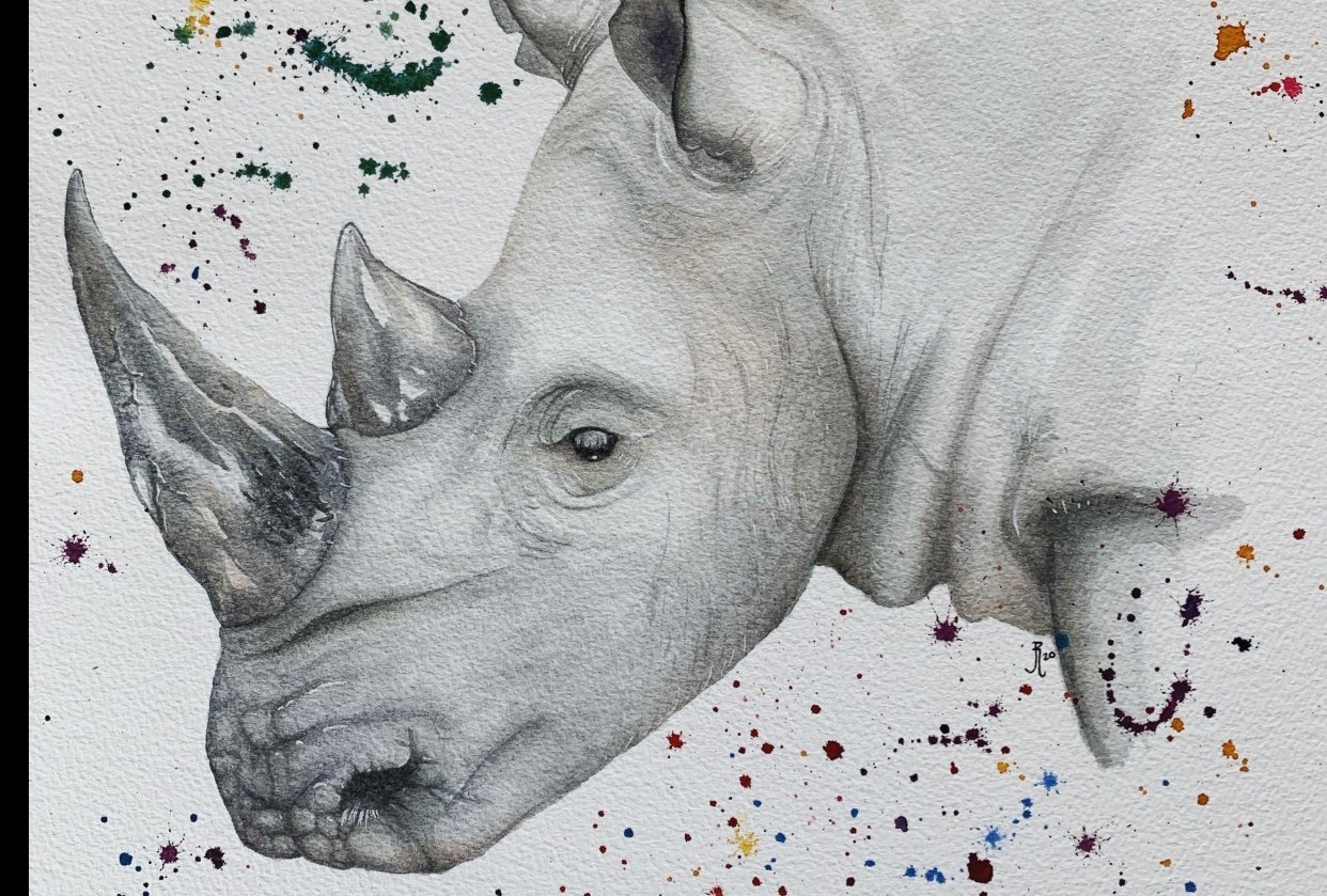 Rhino Skillshare Student Project