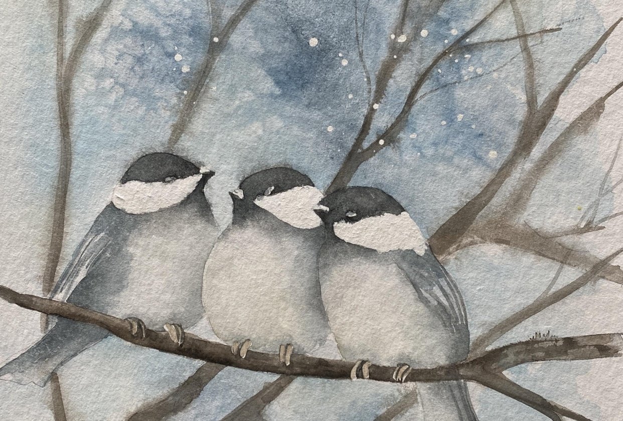 Birds & Branches - student project