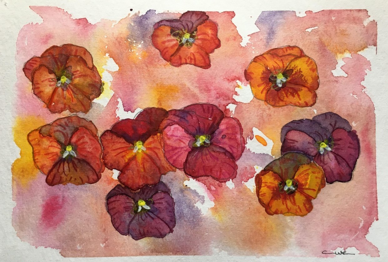 Vibrant Flowers - student project