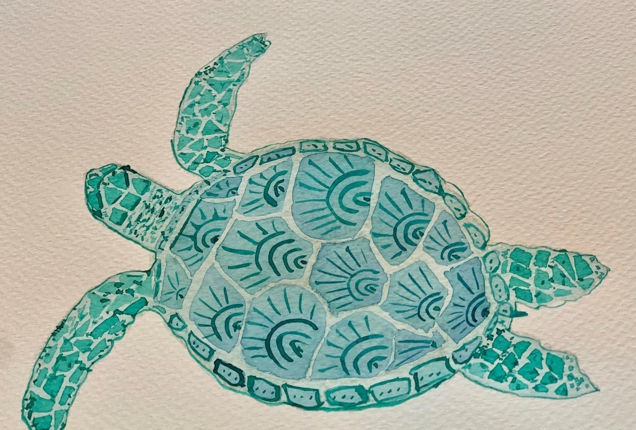 Joyful Sea Turtle! - student project