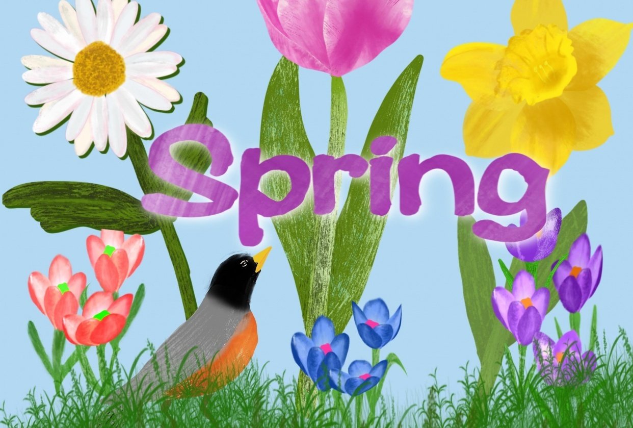 Spring Weeks 1 & 2 | Skillshare Student Project