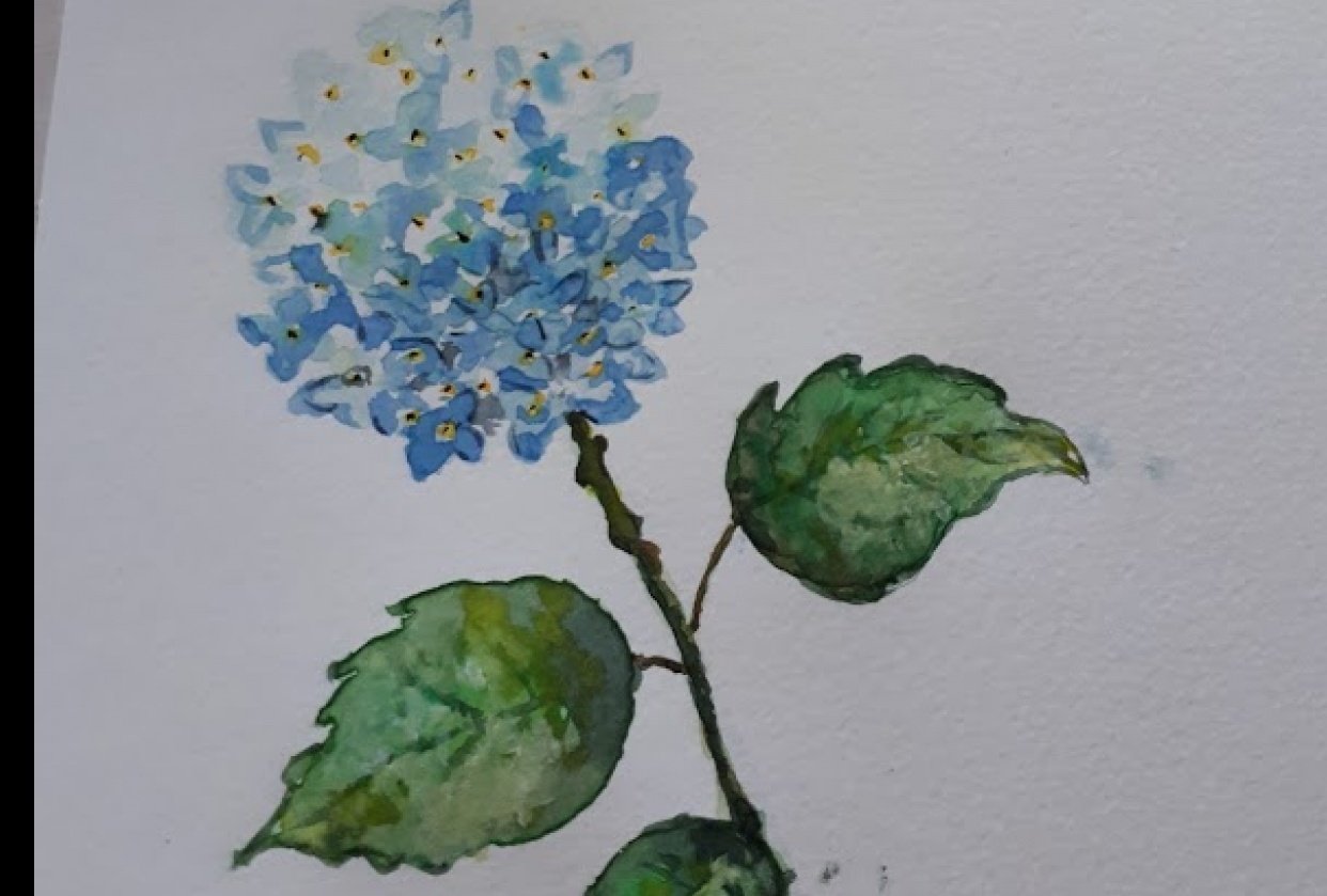 flower-practice-skillshare-student-project