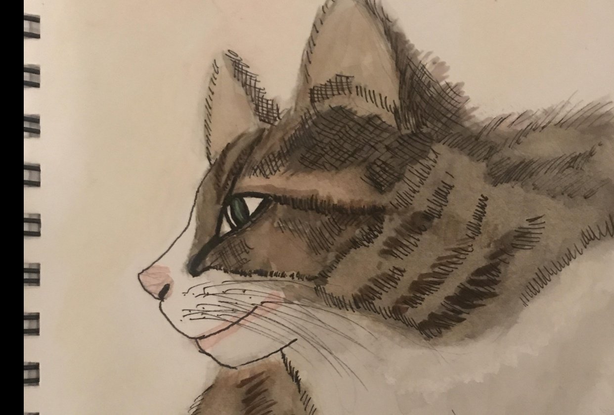 First kitty - student project
