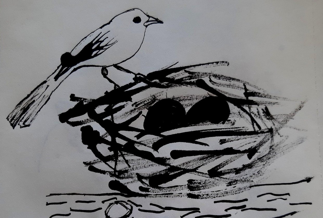 Spring has arrived skillshare student project