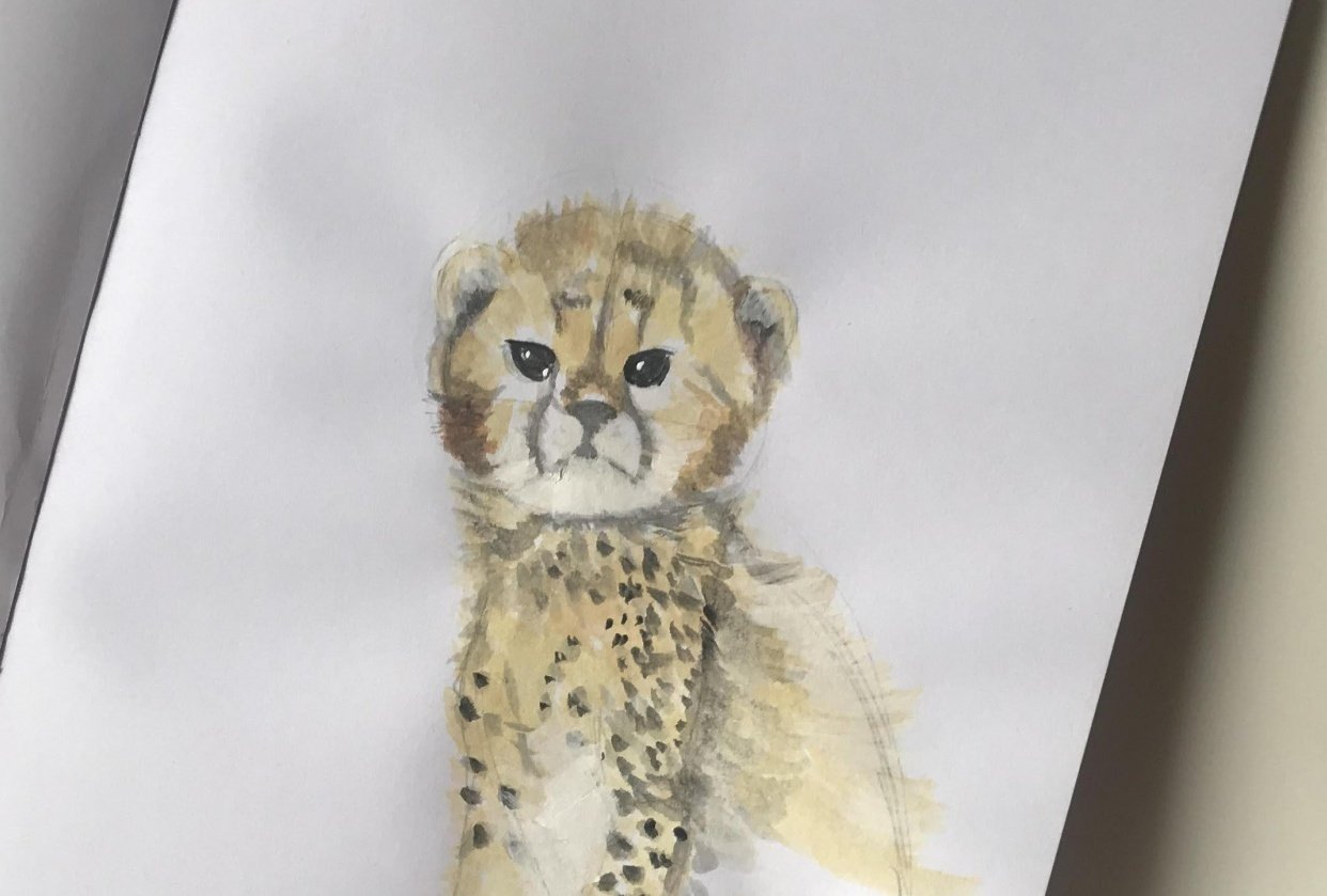 Baby Cheetah - student project