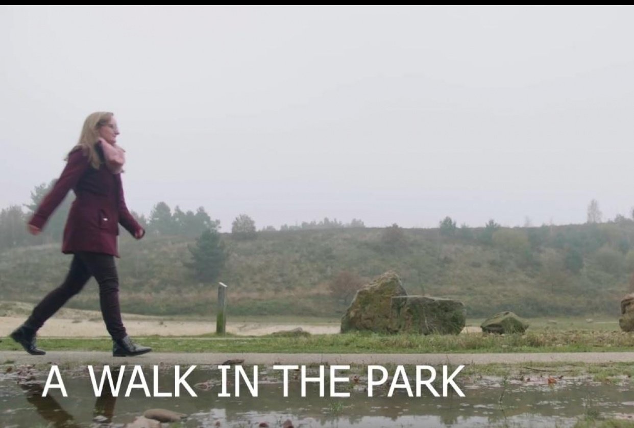 A walk in the park TikTok meme - student project