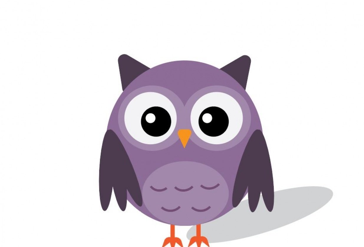 Owl Skillshare Student Project