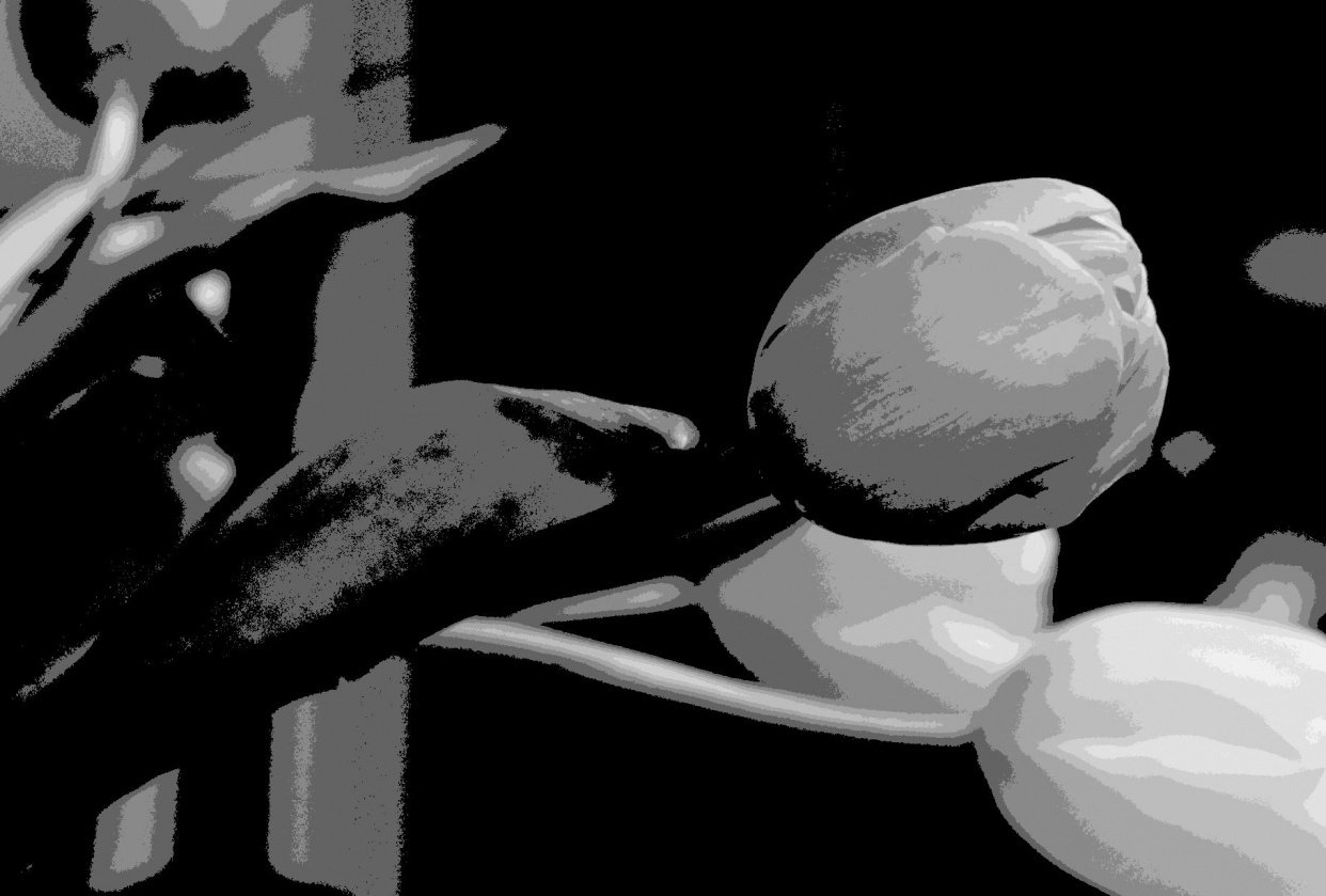 I'm halfway there! - student project