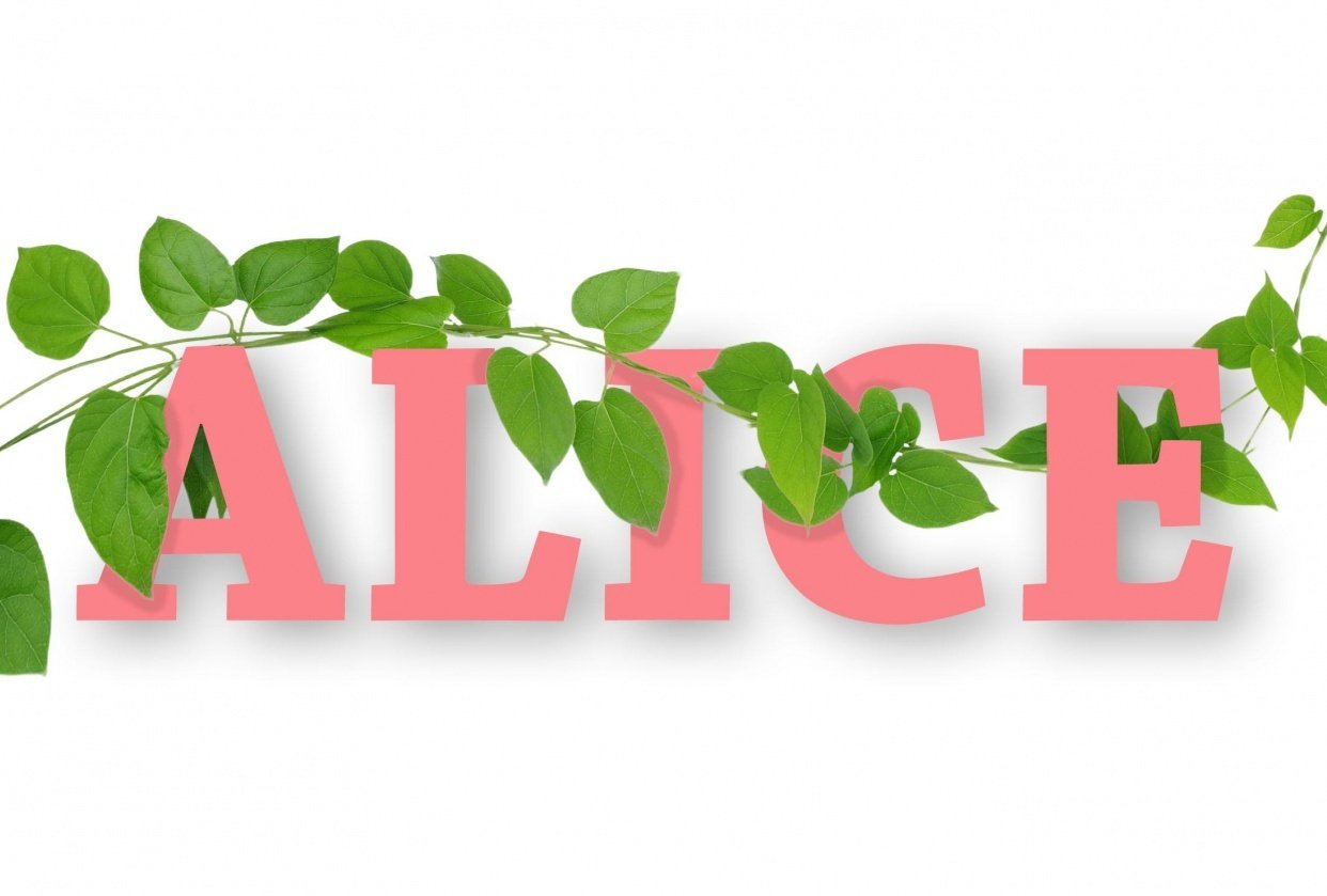 Photoshop Essentials Projects - Alice - student project
