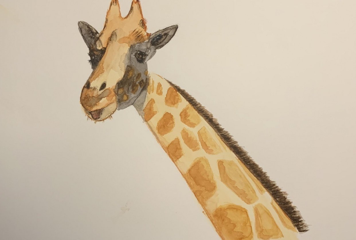 Giraffe - student project