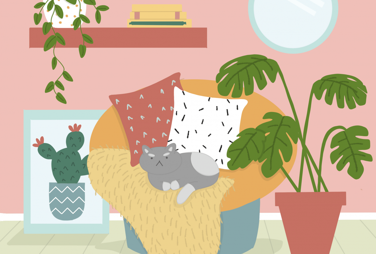 Angry Kitten - student project