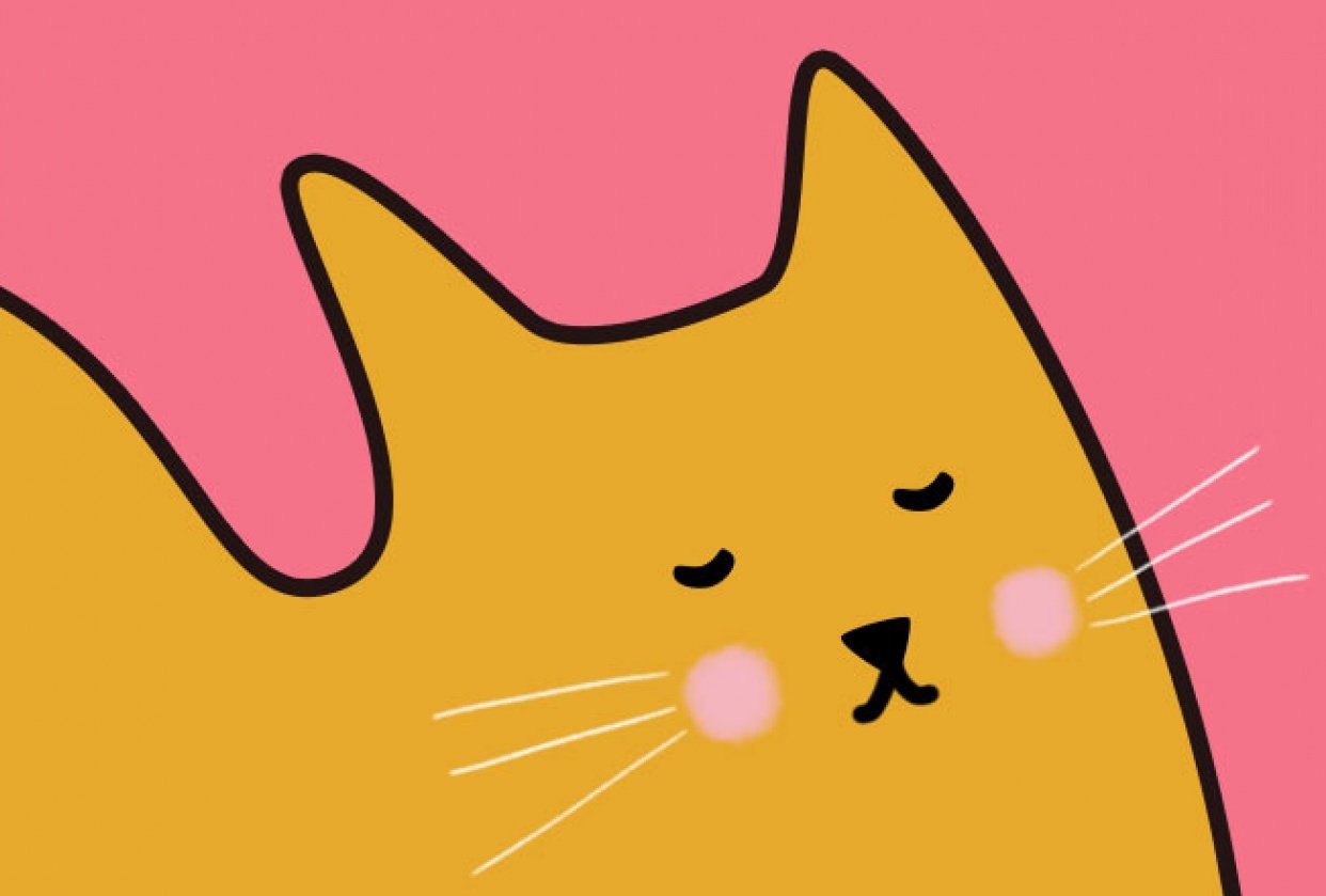 Making biscuits ;) - student project