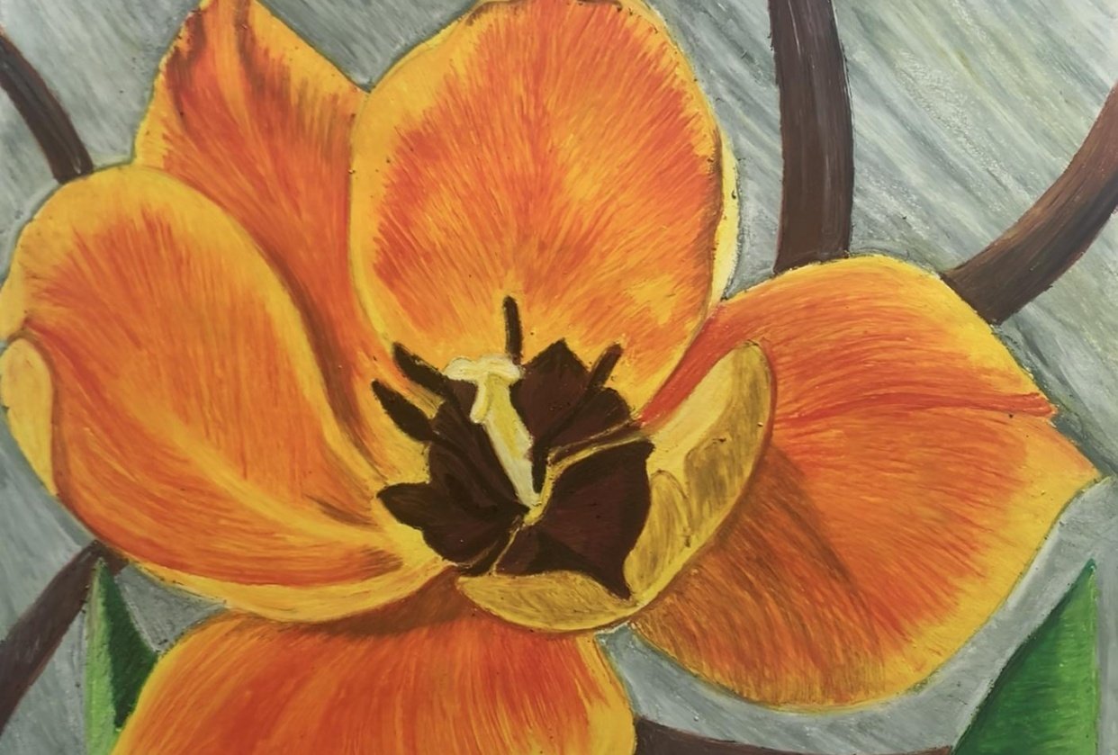 Observational Drawing Using Oil Pastel Skillshare Student Project