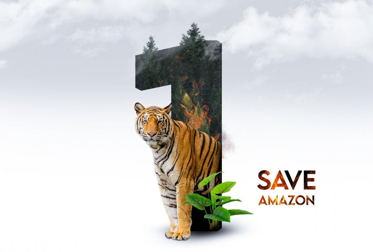 A tiger poster - student project