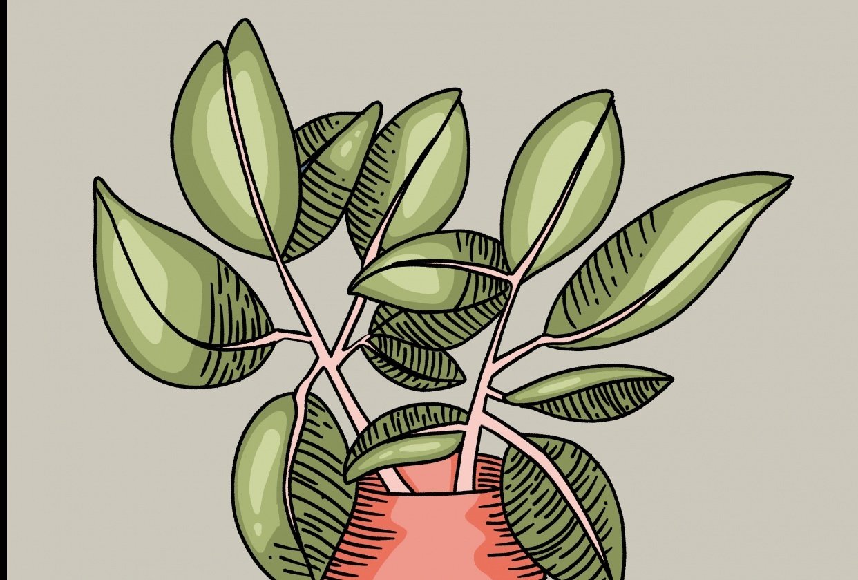 A plant I'll never kill! - student project