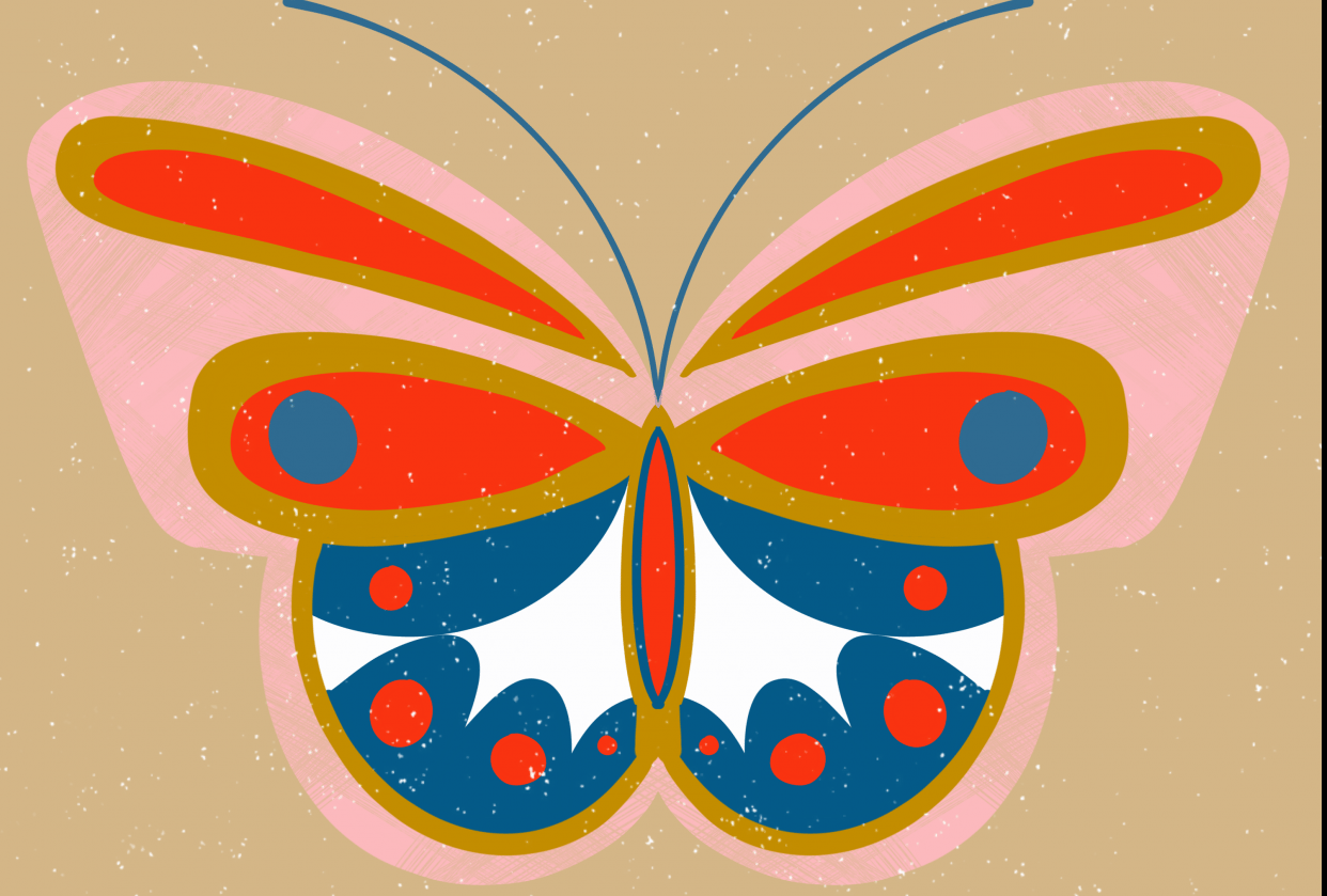First Butterfly - student project