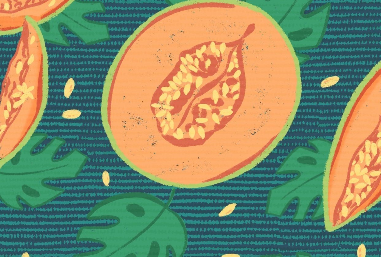Melon illustration - student project
