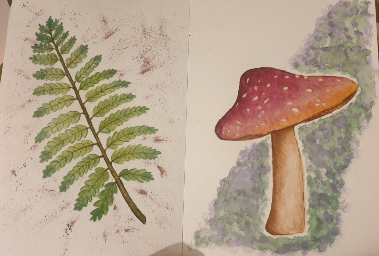 watercolour in the woods project - student project