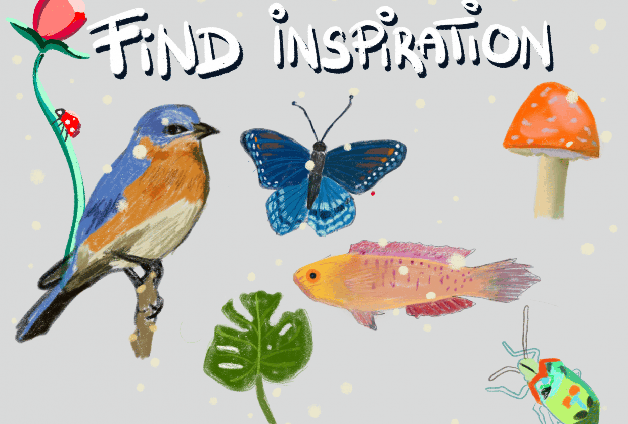Finding Inspiration Skillshare Student Project