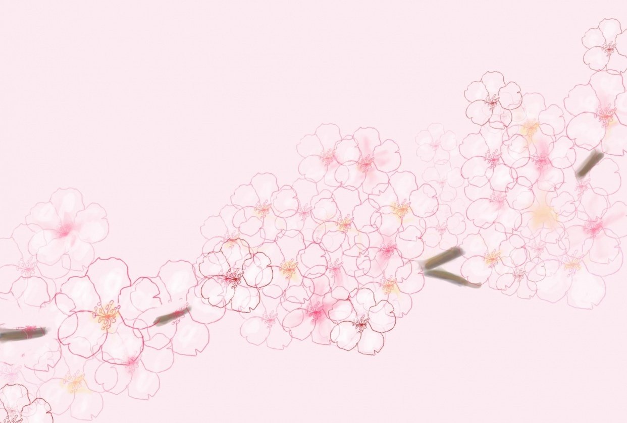 Cherry blossom stamp | Skillshare Student Project