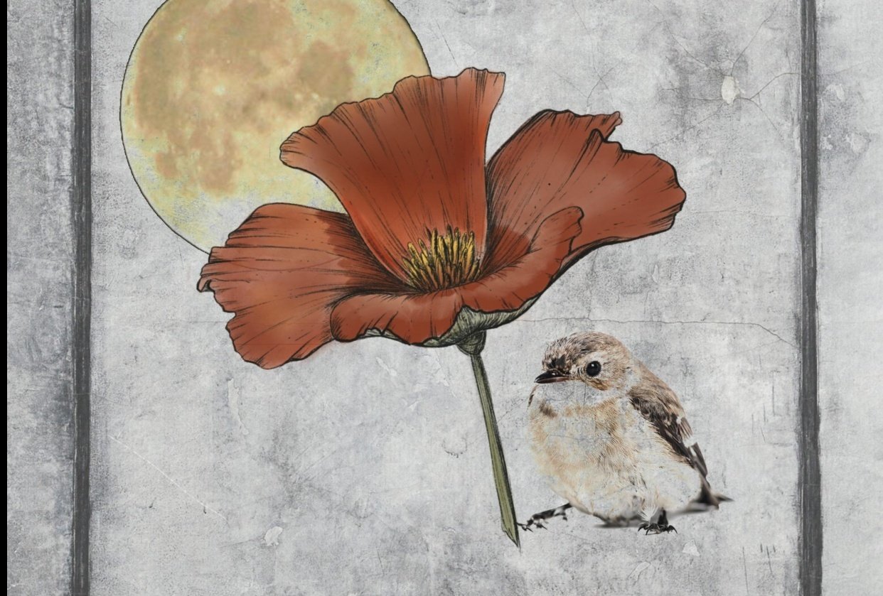 Summer Blends - student project