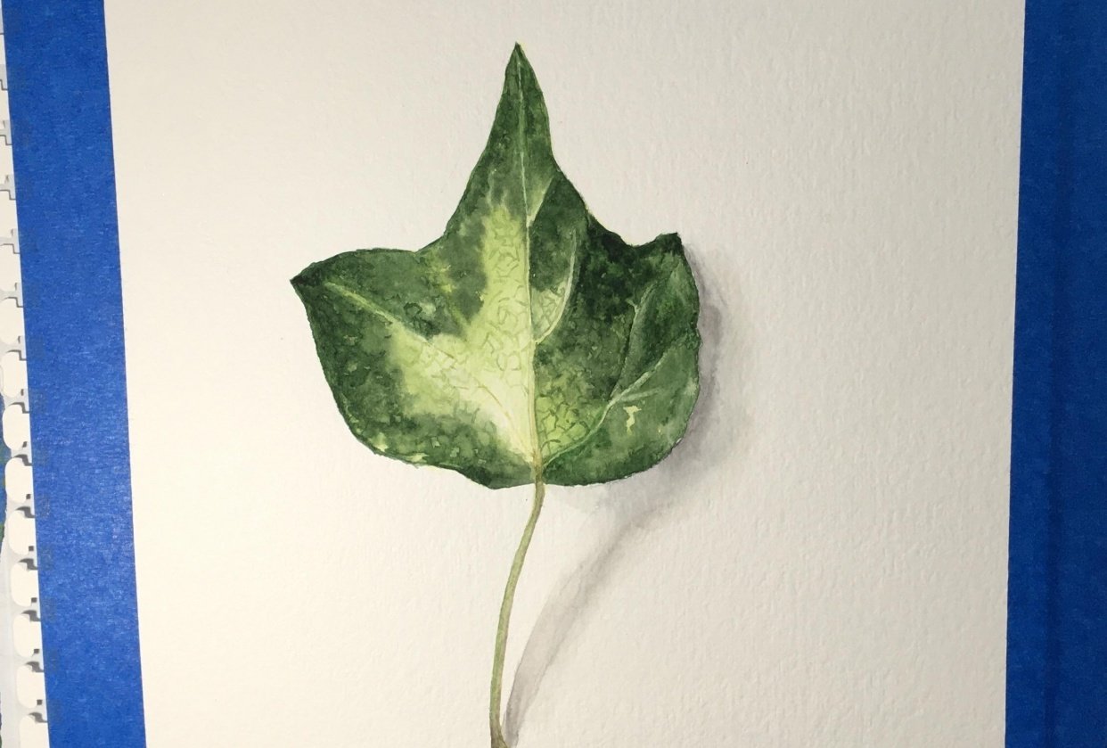 Ivy leaf Skillshare Student Project