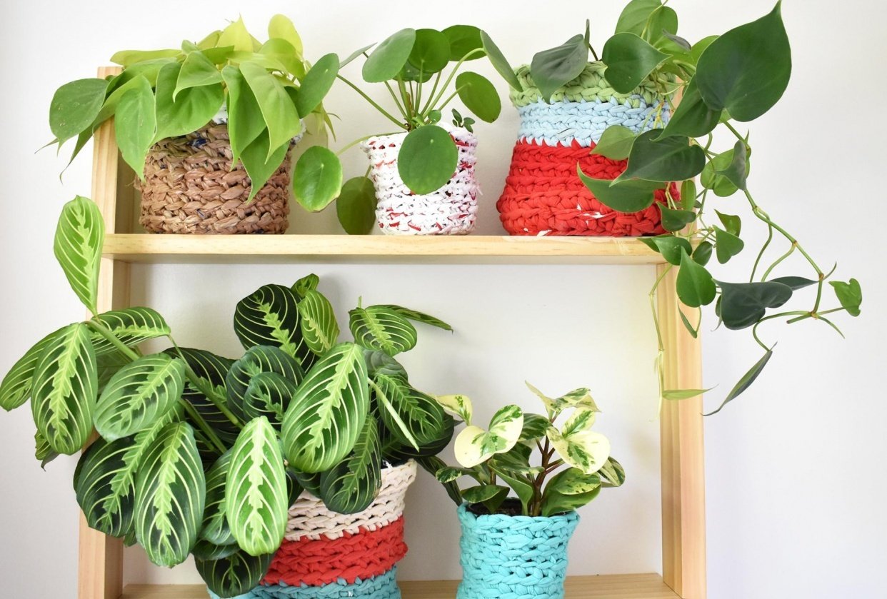 My Plant Pot Covers! - student project