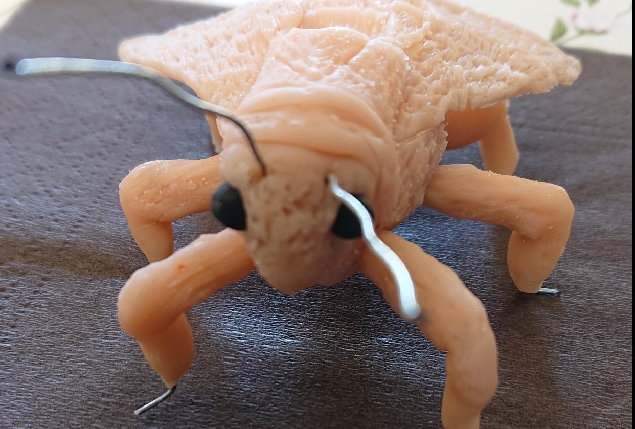 Unpainted Moth - student project