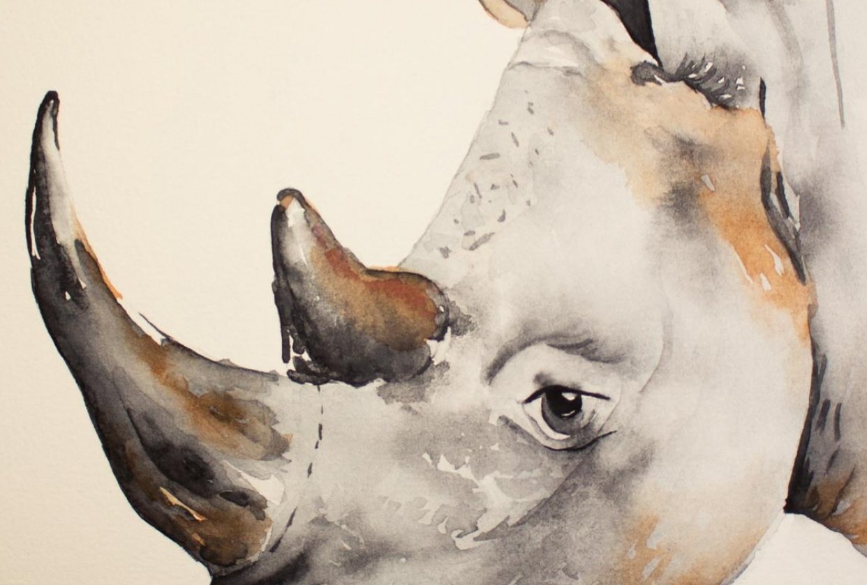 Study Controlling Water Rhino Skillshare Student Project