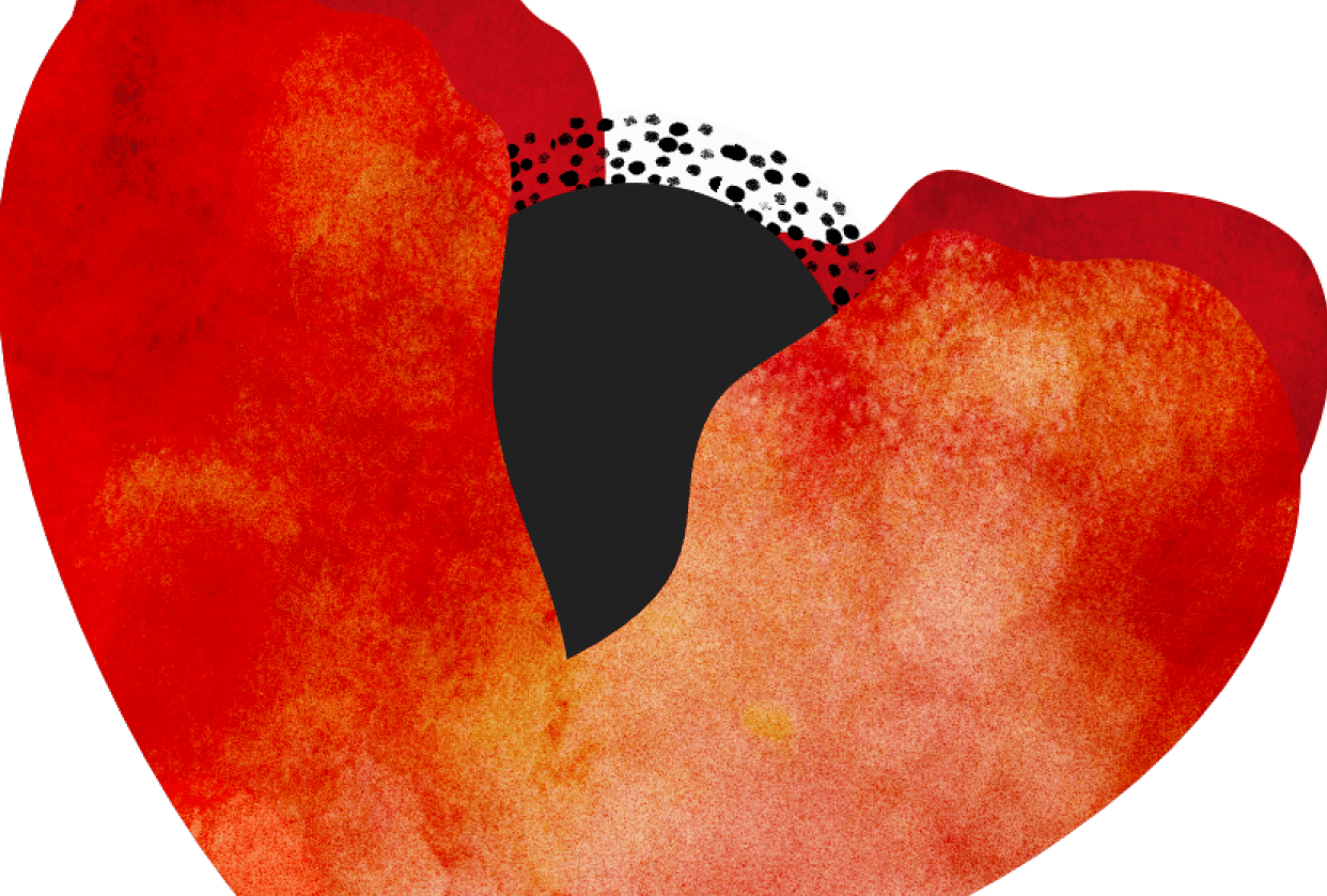 Creating Textured Flowers With Affinity Designer Skillshare Student