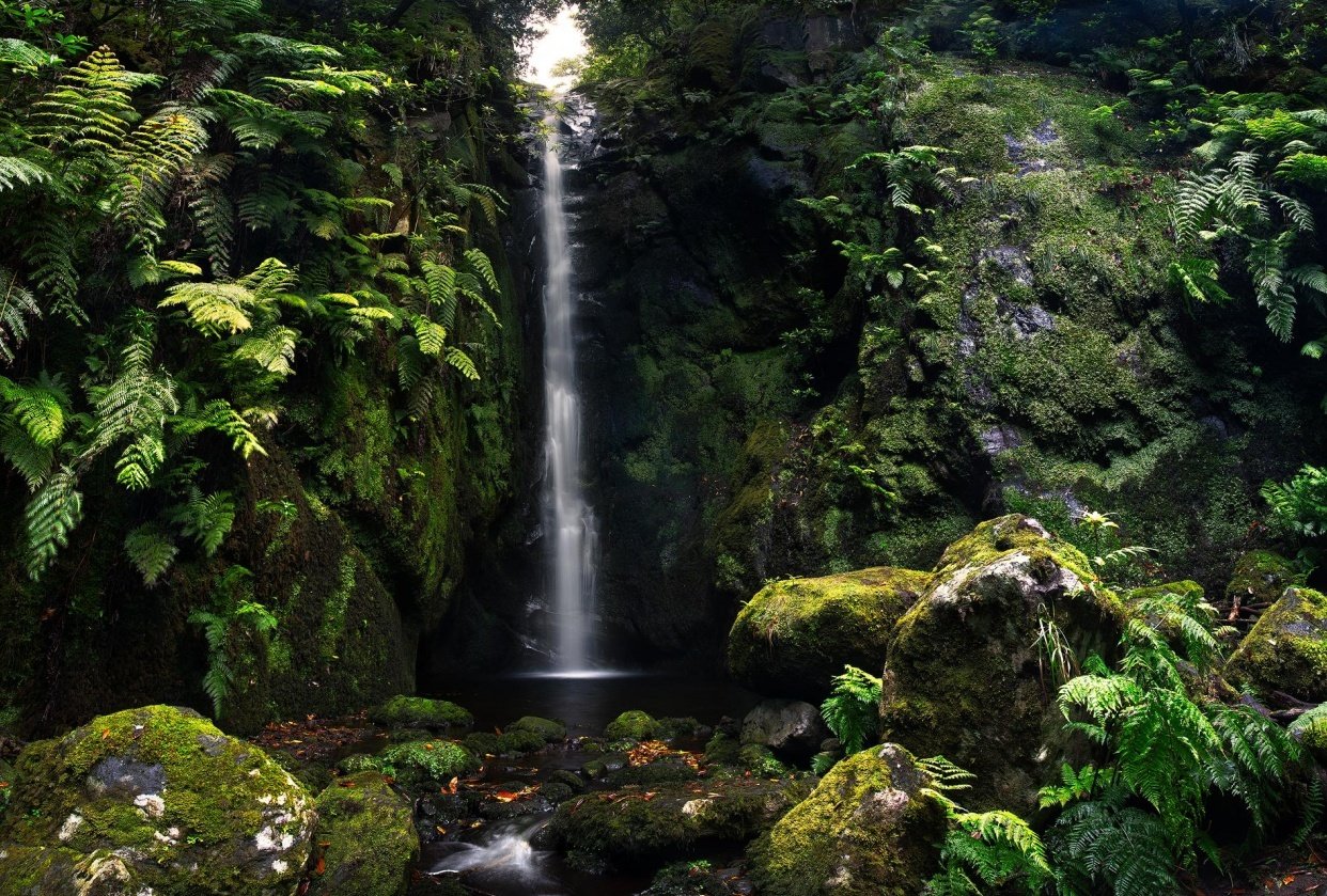 Cascata do Rabo do Burro - student project