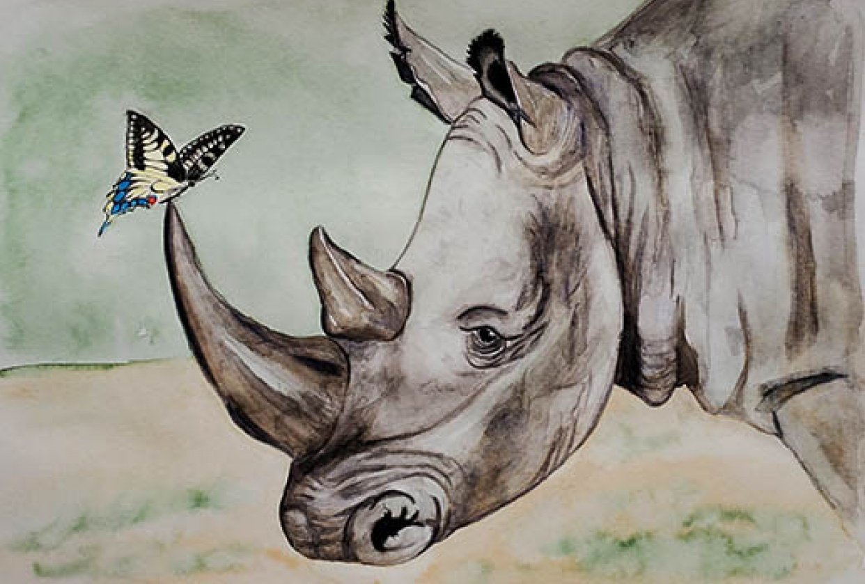 Rhino! Skillshare Student Project