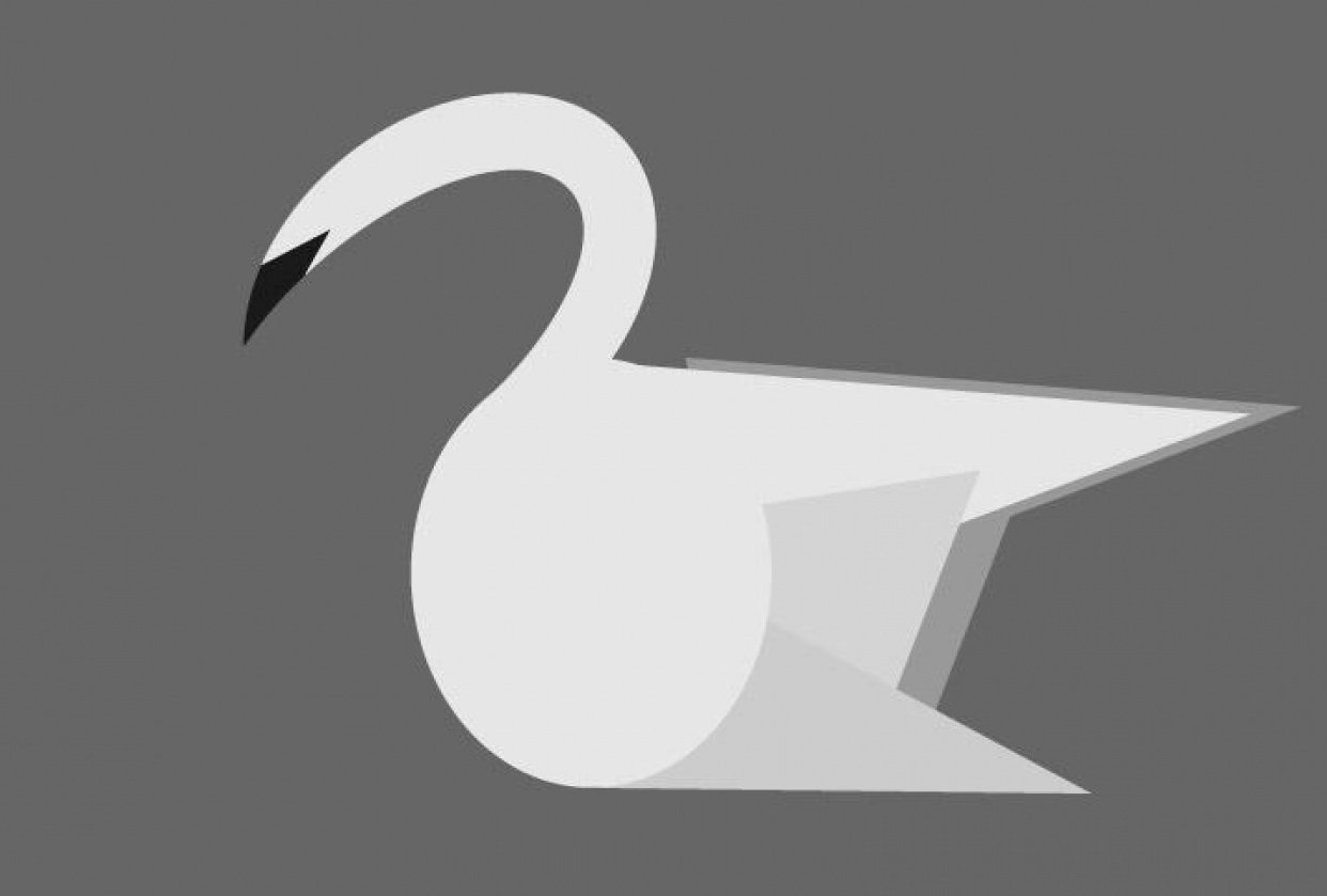 swan-skillshare-student-project