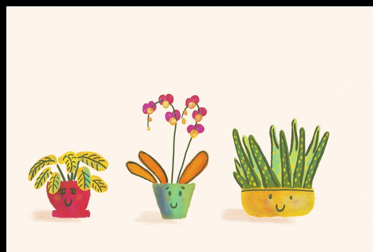 Happy Plants Project Skillshare Student Project