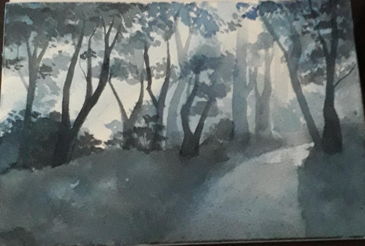 light in the forest Skillshare Student Project