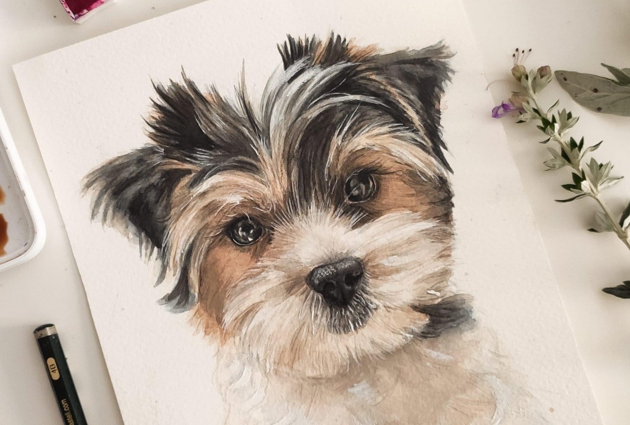 Dog Pawtraits - student project
