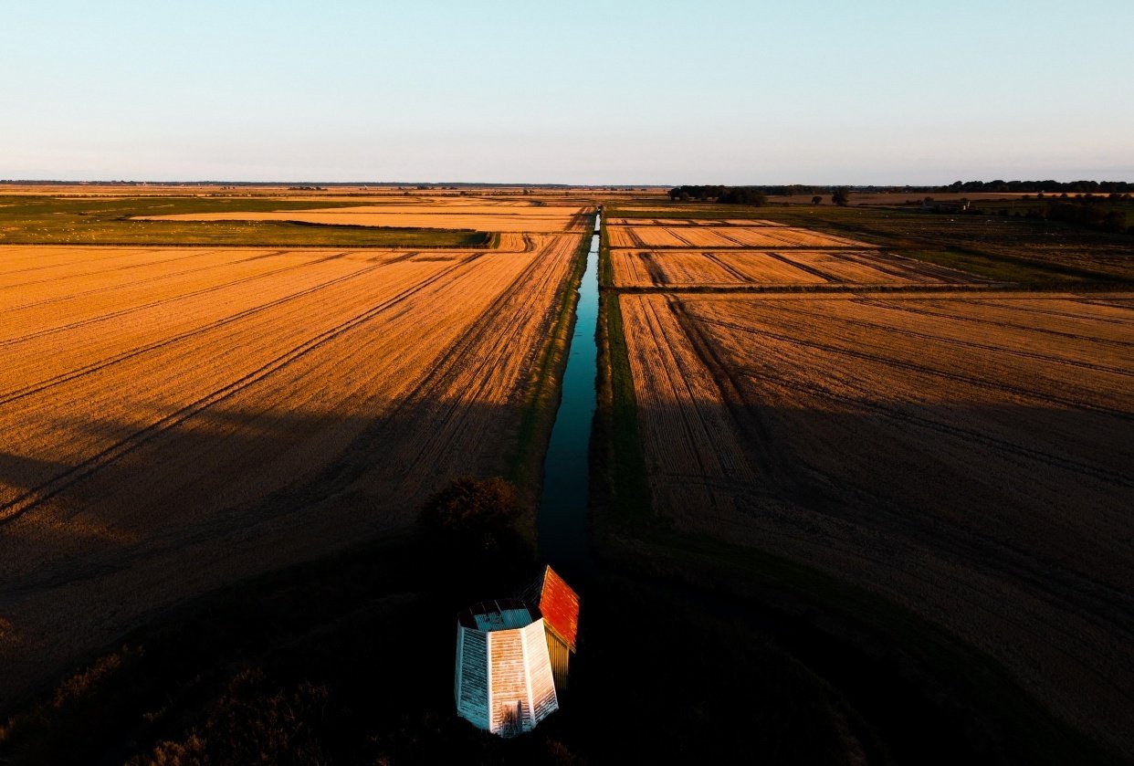 The Marshes - student project