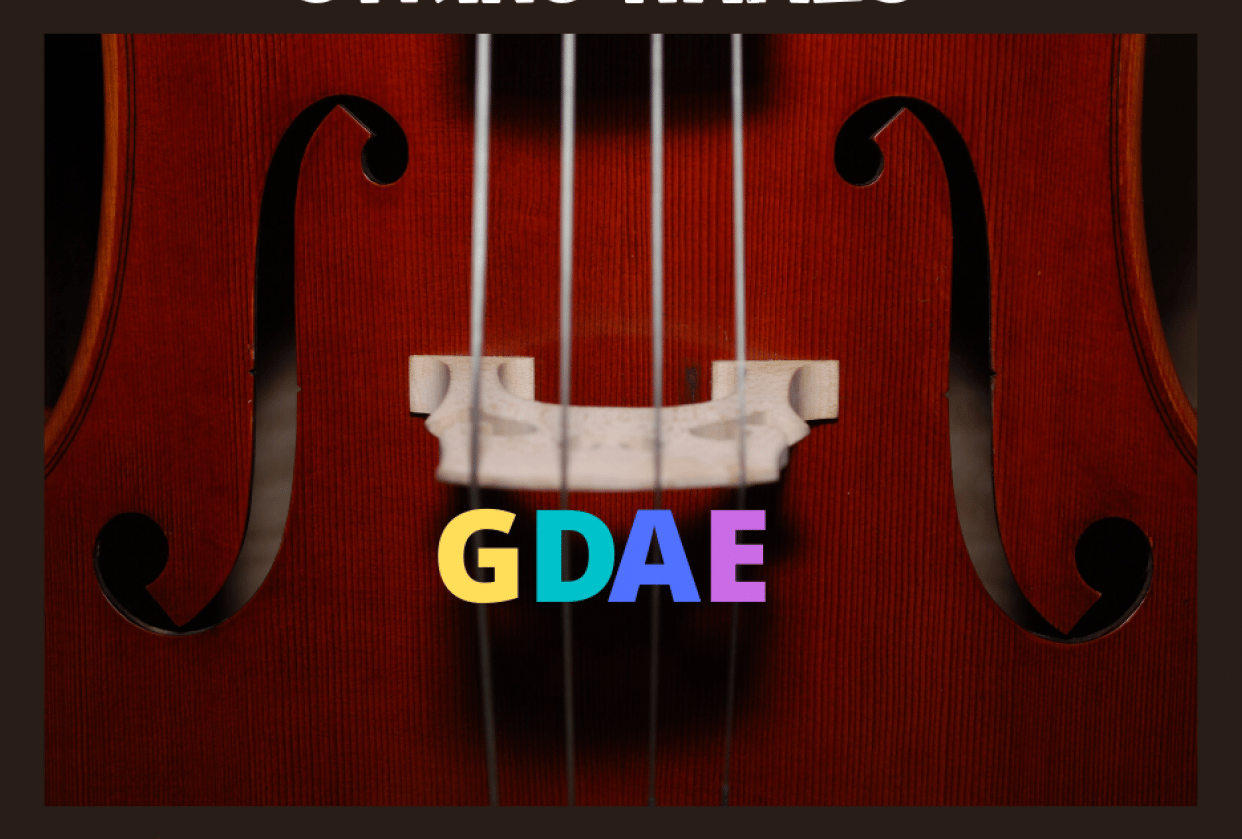 String Names and Locations Skillshare Student Project