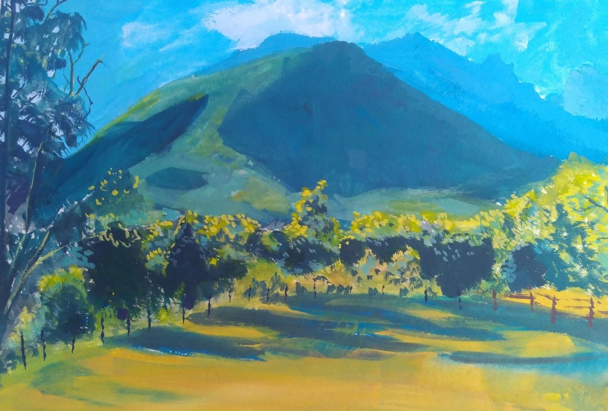 Vista - student project