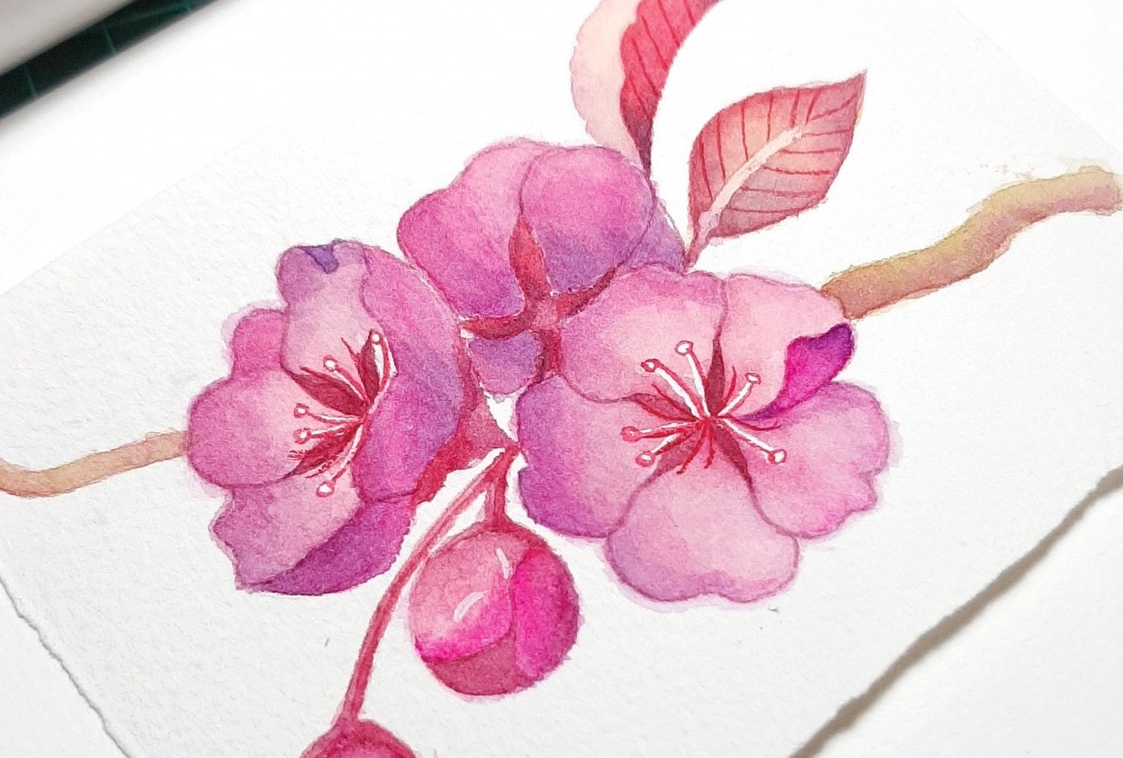 Simple cherry blossom - student project