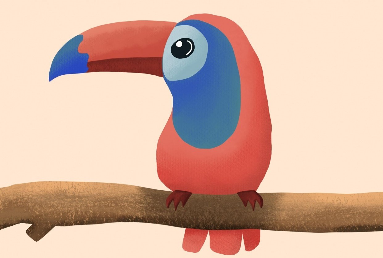 toucan do it! - student project