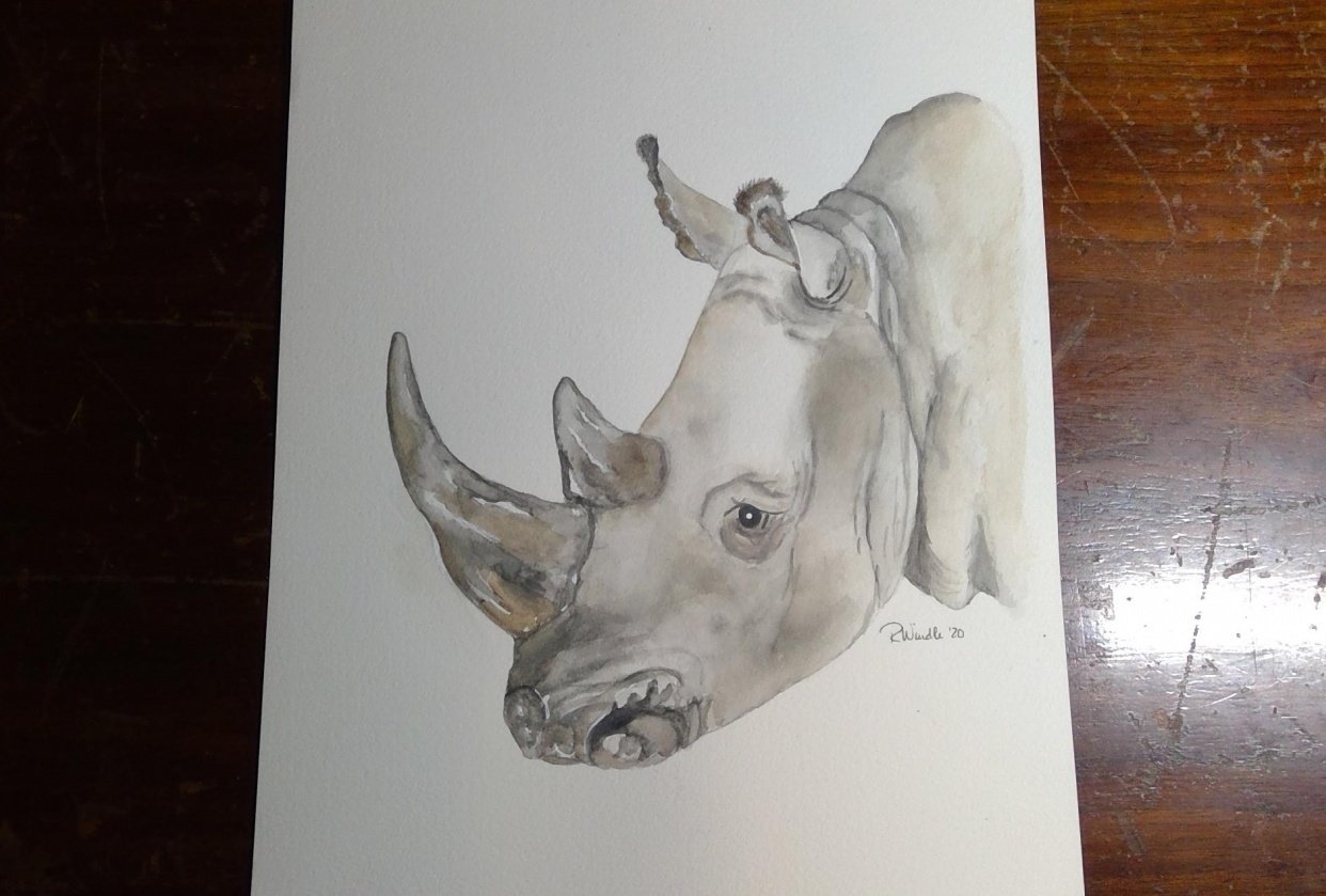Rhino - student project