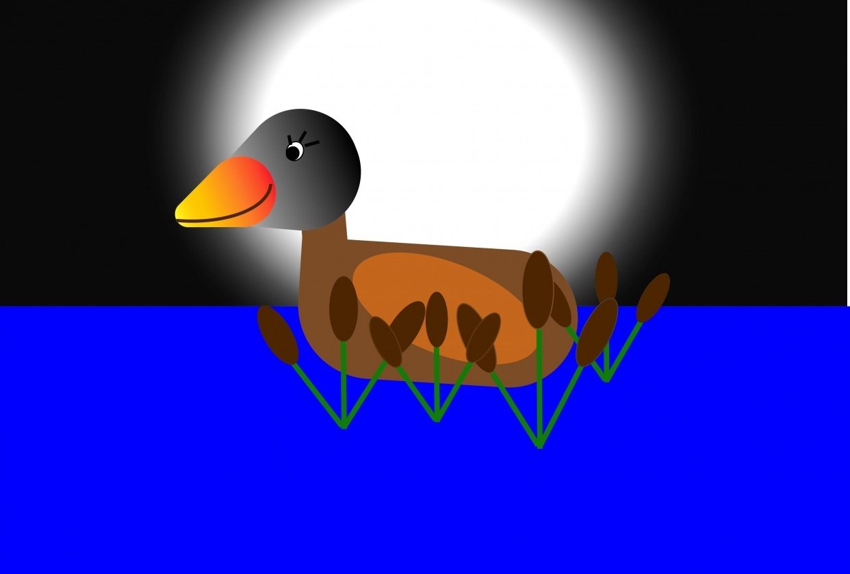 My Little Duck by Lynda Altman - student project