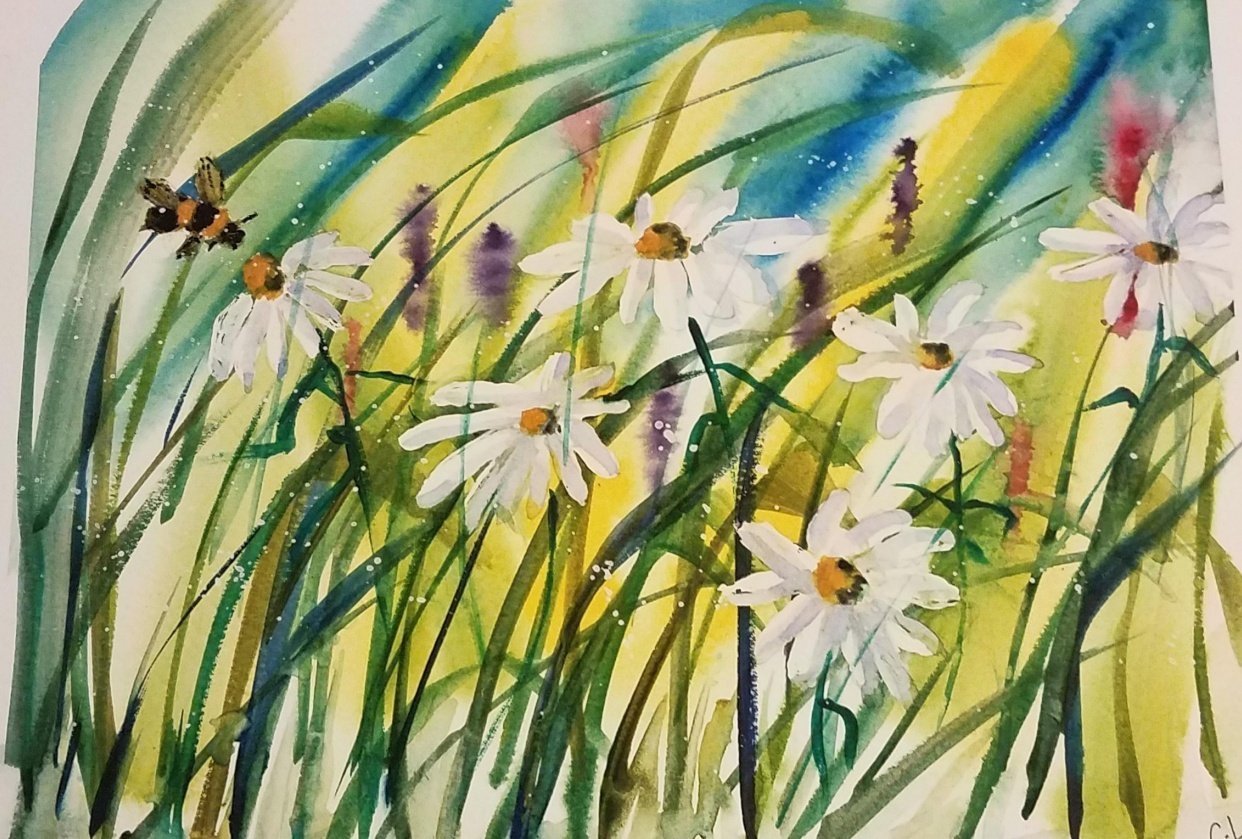 daisy - student project