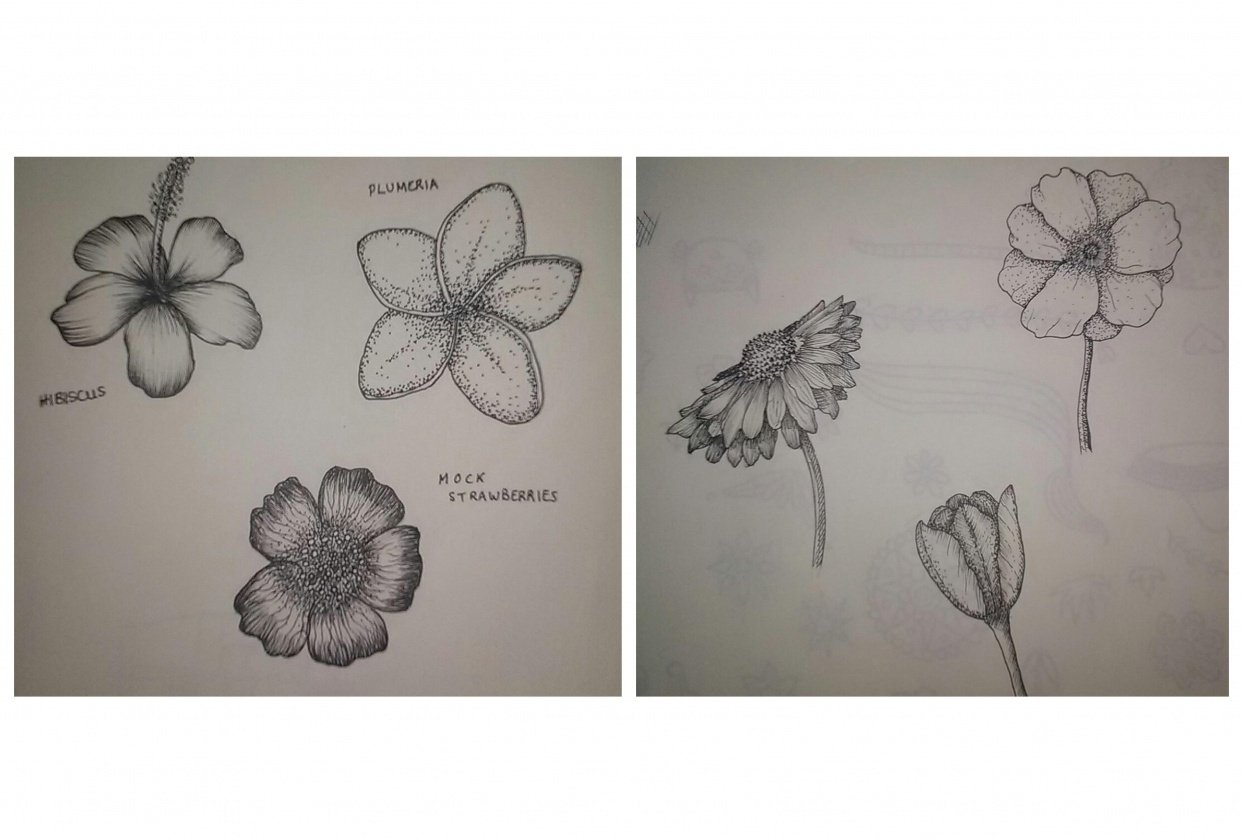 flowers-drawing-skillshare-student-project