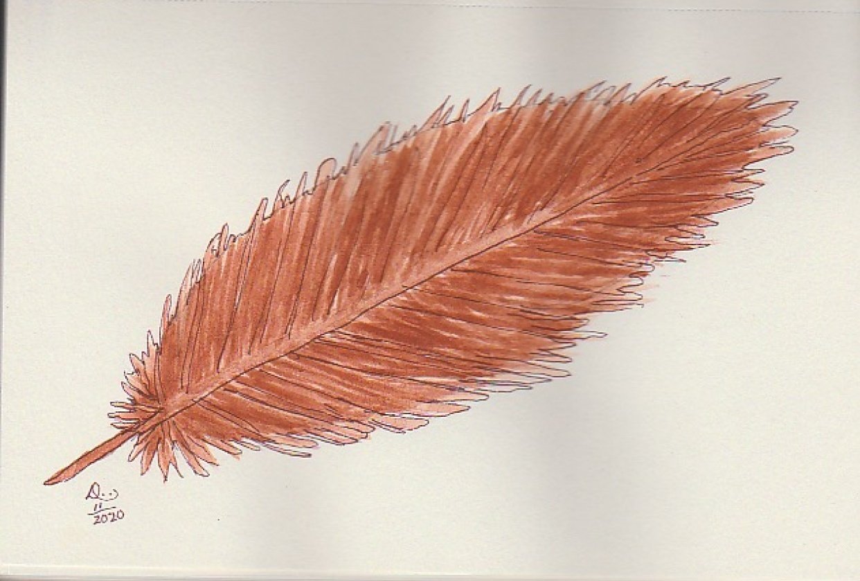 Feather and tree - student project