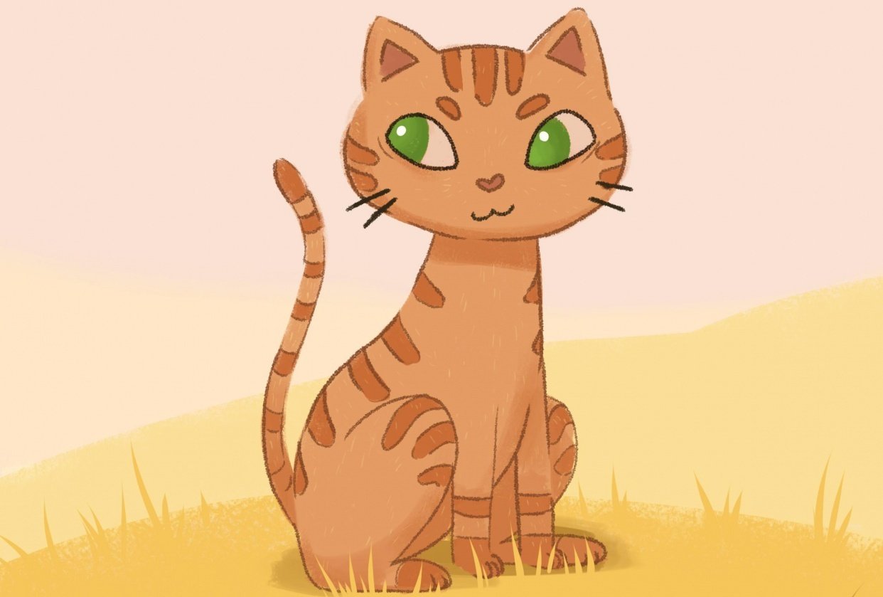 Cat - student project