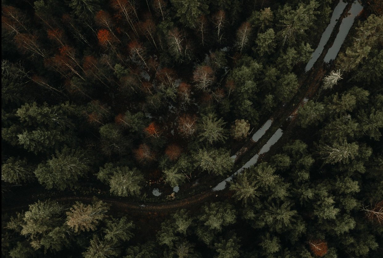 Three different editing styles - student project